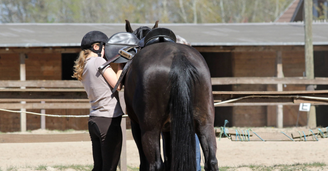 19 04 2019 Bruchmuehle Brandenburg GER Reiterin gurtet auf dem Reitplatz nach Amateursport A 19.04.2019, Bruchmuehle, Brandenburg, GER - Reiterin gurtet auf dem Reitplatz nach. (Amateursport, Ausbildung, Breitensport, Warmblut, Warmblueter, Frau, Freizeit, Freizeitreiten, Freizeitreiterin, Freizeitsport, Fruehjahr, Fruehling, Hobby, Hobbysport, Jahreszeit, Pferd, Pferdesport, Platz, Reitausbildung, Reiten, Reiterin, Reitplatz, Reitsport, Reitstunde, Reitunterricht, Reitverein, Sport, Unterricht, Nachgurten, gurten, Sattel festziehen, Satteln, Aufsatteln) 190419D184BRUCHMUEHLE.JPG *** 19 04 2019 Bruchmuehle Brandenburg GER rider girths on the riding arena after amateur sport training popular sport warmblood warmblood woman leisure time spare time riding spare time rider spare time sport spring hobby hobby hobby sport season horse equestrian sport place riding education riding rider riding arena riding lesson riding lesson riding 