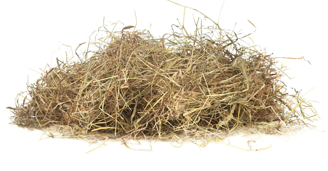 Meadow hay Meadow hay on white 