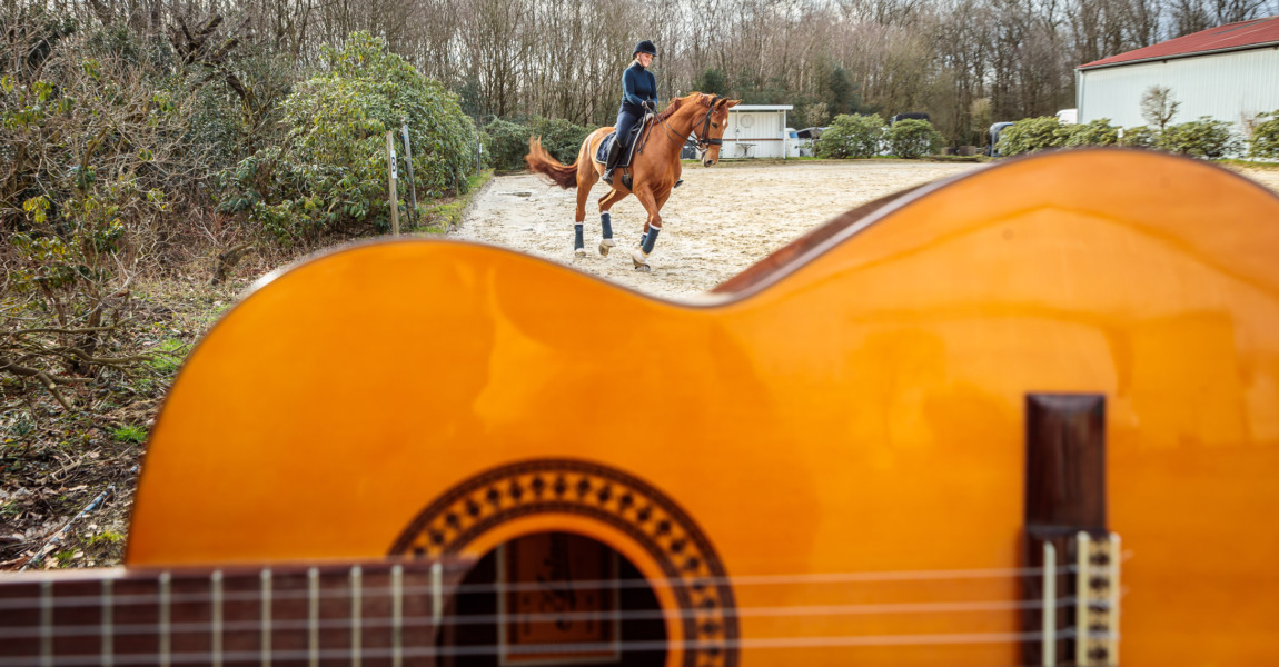 Mein Pferd Shooting für das Mein Pferd Magazin am 17.02.2020 in Gevelsberg Foto: DANIEL ELKE 