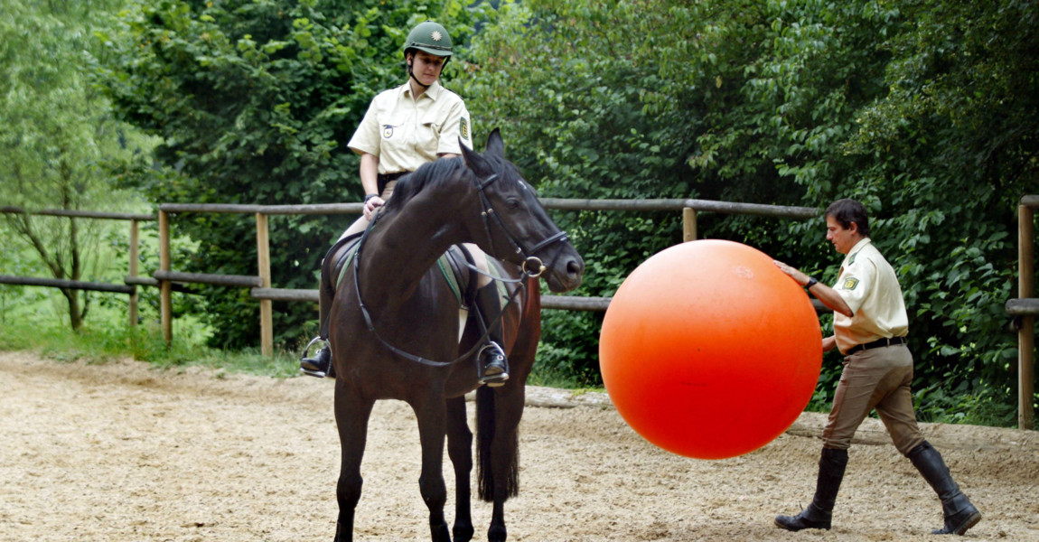 imago52122473h Bildnummer: 52122473 Datum: 07.08.2007 Copyright: imago/Horst Rudel Reiterstaffel der Polizei w‰hrend des Trainings in Ostfildern, Personen , Tiere; 2007, Ostfildern, Polizist, Polizeibeamte, Polizeibeamter, Pfer, Pferde, S‰ugetiere, Polizeipferd, Polizeipferde, Training, trainieren, Reiter, Mann, M‰nner, Reiterin, Polizistin, Frau, Frauen, Ball, B‰lle; , quer, Kbdig, Gruppenbild, Deutschland, Arbeitswelten, Gesellschaft, , Polizei, Staat, 