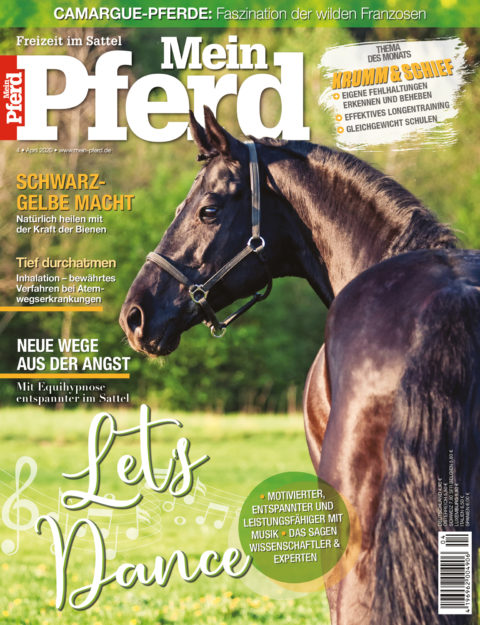 04_2020_mein_pferd 