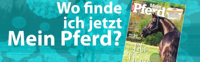 Mein-Pferd-mykiosk 