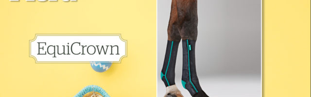 ostergewinnspiel_2020_EquiCrown 