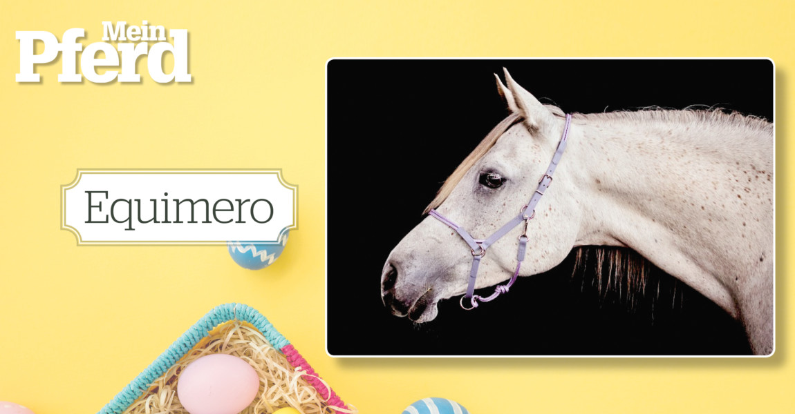 ostergewinnspiel_2020_Equimero 