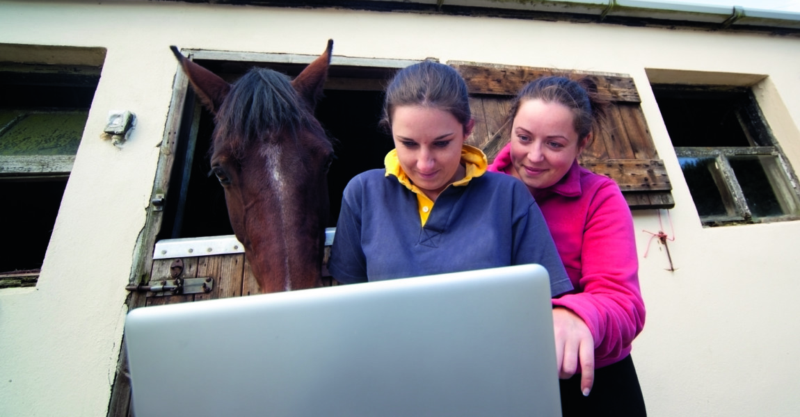 2 women and a horse looking at computer screen 2 women and a horse looking at computer screen 