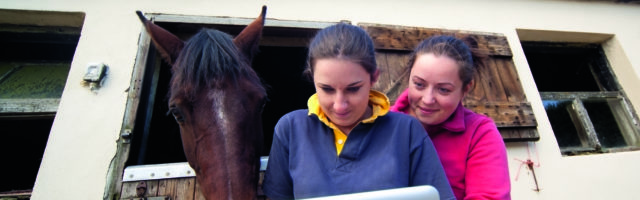 2 women and a horse looking at computer screen 2 women and a horse looking at computer screen 