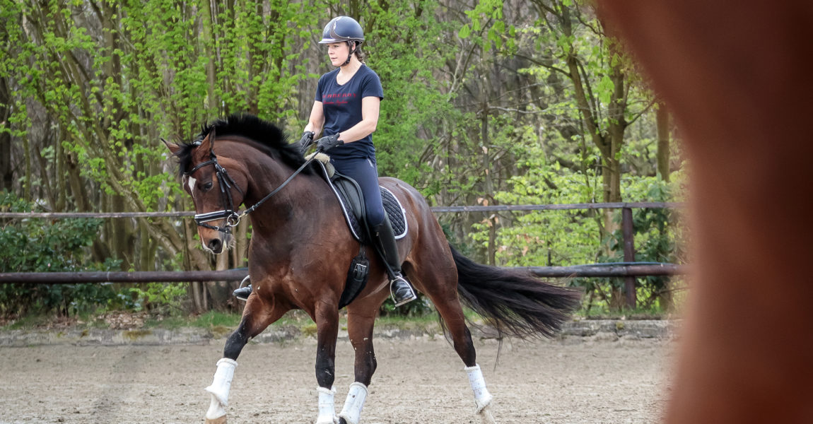 Mein Pferd Magazin - Serie Berufe - Bereiterin Die Bereiterin Verena am 16.04.2018 in Gevelsberg bei der Arbeit. Für das Mein Pferd Magazin. Foto: DANIEL ELKE 