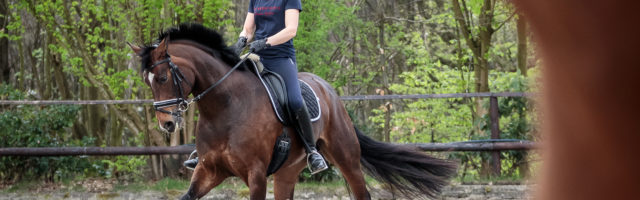 Mein Pferd Magazin - Serie Berufe - Bereiterin Die Bereiterin Verena am 16.04.2018 in Gevelsberg bei der Arbeit. Für das Mein Pferd Magazin. Foto: DANIEL ELKE 