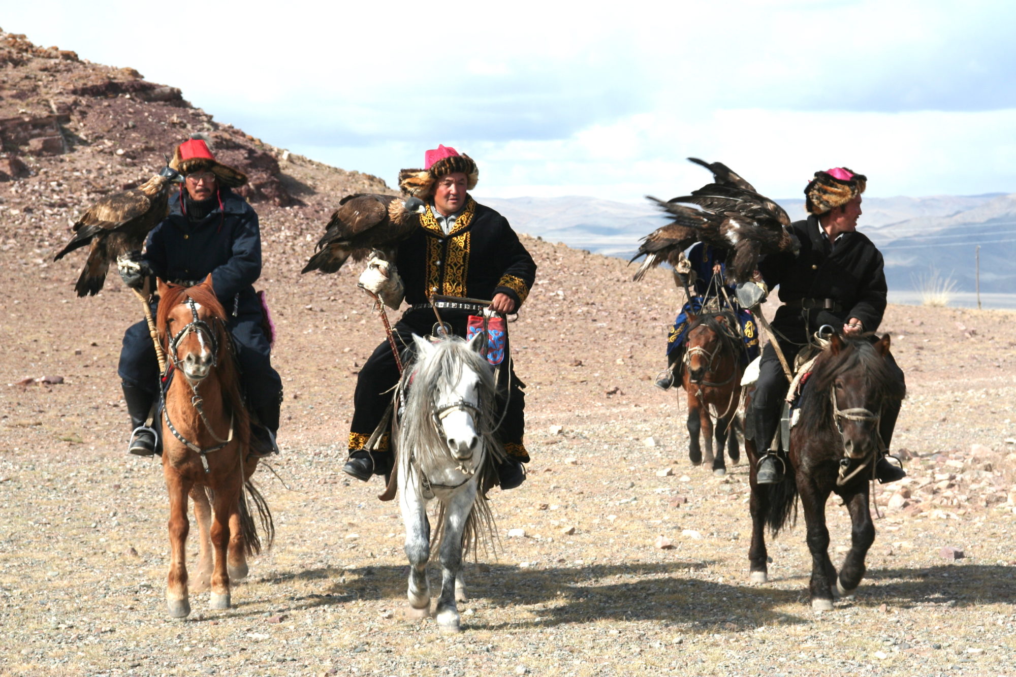 Reise Mongolei Pferd