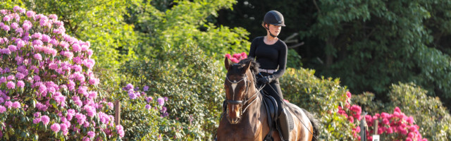 Mein Pferd Shooting für das Mein Pferd Magazin am 20.05.2020 in Gevelsberg Foto: DANIEL ELKE 