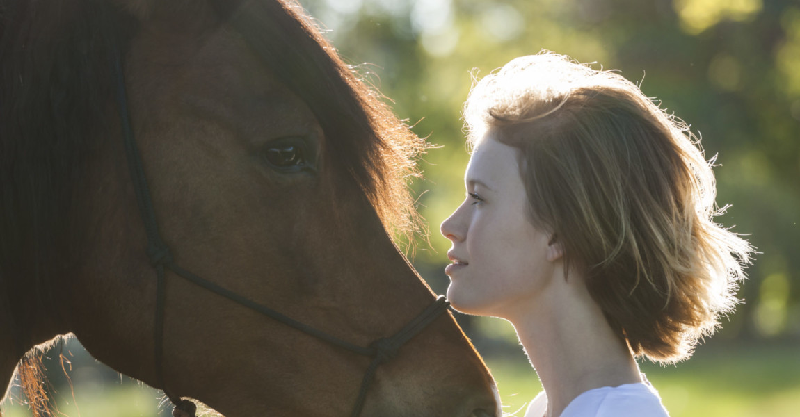 Profiles of young woman and horse at backlight Deutschland, Bayern, Oberbayern, Glonn, Junge Frau und Pferd 