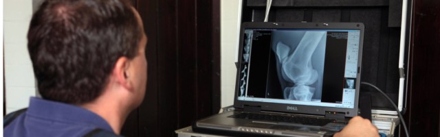 26 08 2009 Kuchelmiss Mecklenburg Vorpommern DEU Tierarzt schaut sich eine digitale Roentgenauf 26.08.2009, Kuchelmiss, Mecklenburg-Vorpommern, DEU - Tierarzt schaut sich eine digitale Roentgenaufnahme an. (Anamnese, Anamneseuntersuchung, medizinisch, Pferd, pruefen, Pruefung, Tier, Tierarzt, Tiermedizin, ueberpruefen, Ueberpruefung, untersuchen, Untersuchung, Veterinaermedizin, Ankaufsuntersuchung, roentgen, Roentgen, Roentgenaufnahme, Roentgenuntersuchung, Roentgengeraet, transportabel, digital, Digitalaufnahme, Laptop, Notebook, Computer, Bein, Pferdebein, ansehen, anschauen, Röntgenstrahlen, röntgen, Röntgen, Röntgenuntersuchung, Röntgengerät, Röntgenaufnahme, Röntgenschutz, prüfen, Prüfung, überprüfen, Überprüfung, Veterinärmedizin) 073D260809KUCHELMIS.JPG GALOPP 26 08 2009 Kuchelmiss Mecklenburg Western Pomerania DEU Veterinarian looks to a Digital X-RAY SNAPSHOT to History medically Horse check Examination Animal Veterinarian Veterinary medicine KVD Review In Search Investigation Veterinary Hippocheck Roentgen Roentgen X-RAY SNAPSHOT Roentgenuntersuchung Roentgengeraet transportable Digital Laptop Notebook Computer Leg Horse leg See Watching X-rays X-ray X-ray X-ray examination X-ray machine X-ray Check Test Check Review Veterinary medicine JPG Gallop 