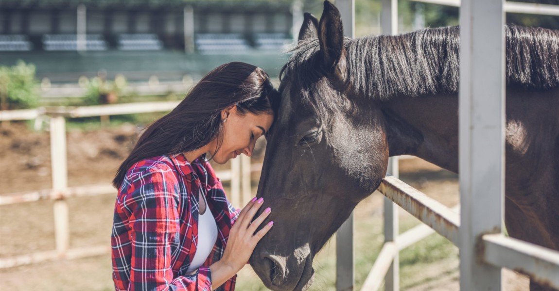 young woman and horse a young woman on a horse farm spends time with her horses 