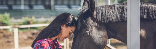 young woman and horse a young woman on a horse farm spends time with her horses 
