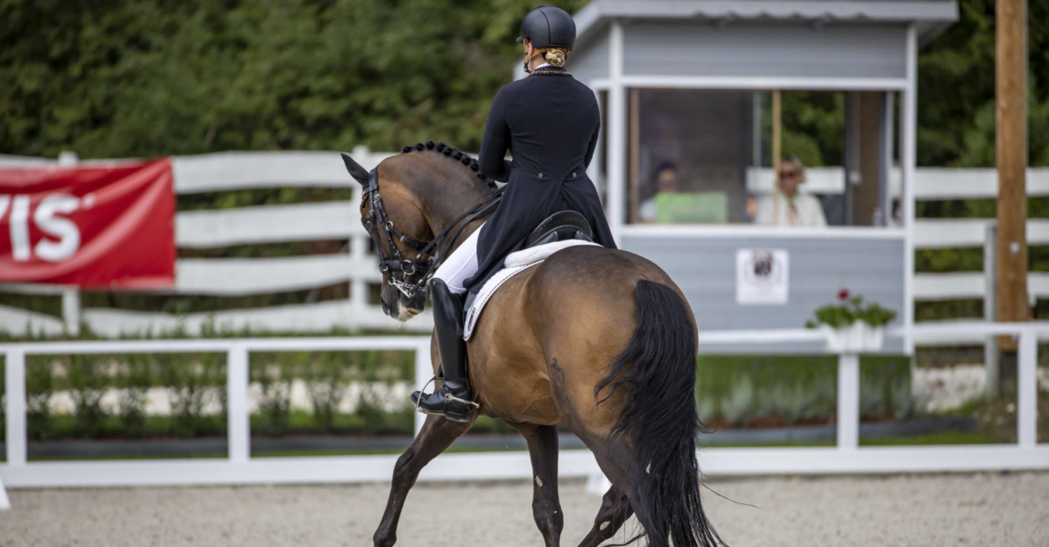 Pilisjaszfalu - FEI Youth Dressage EUROPEAN CHAMPIONSHIPS 2020, WESTENDARP Alexa (GER), Hicksteadt U25 Grand Prix - Einz Pilisjaszfalu - FEI Youth Dressage EUROPEAN CHAMPIONSHIPS 2020, WESTENDARP Alexa GER, Hicksteadt U25 Grand Prix - Einzelentscheidung Pilisjaszfalu - FEI Youth Dressage EUROPEAN CHAMPIONSHIPS 2020 19. August 2020 - *** Pilisjaszfalu FEI Youth Dressage EUROPEAN CHAMPIONSHIPS 2020, WESTENDARP Alexa GER , Hicksteadt U25 Grand Prix Individual Decision Pilisjaszfalu FEI Youth Dressage EUROPEAN CHAMPIONSHIPS 2020 19 August 2020 