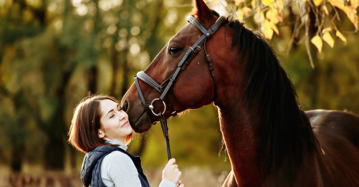 Woman with her horse at sunset, autumn outdoors scene Woman with her horse at sunset, autumn outdoors scene 