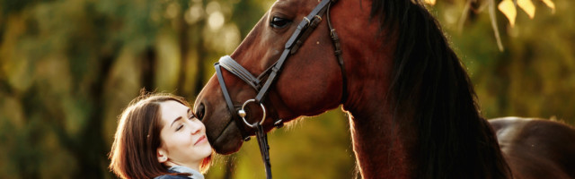 Woman with her horse at sunset, autumn outdoors scene Woman with her horse at sunset, autumn outdoors scene 