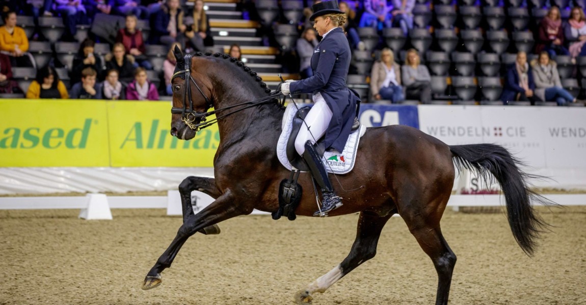 Oldenburg - AGRAVIS Cup 2019 SCHNEIDER Dorothee (GER), Quantum Vis MW Oldenburg - AGRAVIS Cup 2019 Louisdor Preis Nat. Dressurprüfung Kl. S*** für Nachwuchspferde 01. November 2019 © www.sportfotos-lafrentz.de/Stefan Lafrentz 