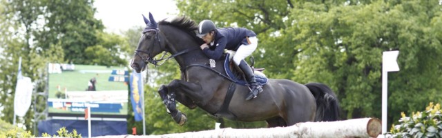 imago0011849049h Bildnummer: 11849049 Datum: 17.05.2012 Copyright: imago/Jacques Toffi Gilbert Tillmann Hello Max Springen-1.Quali-Derby 17,05,2012, Dressur-und Spring-Derby Hamburg,Derbypark; Reiten Reitsport Springen Springreiten xmk x0x 2012 quer Pferdesport Image number 11849049 date 17 05 2012 Copyright imago Jacques Toffi Gilbert Tillmann Hello Max Jump 1 Qualif Derby 17 05 2012 Dressage and Spring Derby Hamburg Derby Park riding Horse riding Jump showjumping xmk x0x 2012 horizontal Equestrian sports 