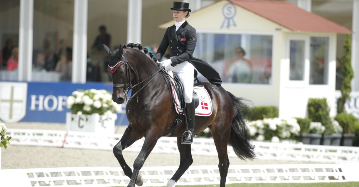 Hagen CDIO Nationenpreis Dressur 2015 Kirk Thinggaard Agnete DEN JoJo AZ Hagen - CDIO Nationenpreis Dressur 2015, Kirk Thinggaard, Agnete (DEN) - JoJo AZ Hagen CDIO Nations price Dressage 2015 Kirk Agnete the Jojo AZ 