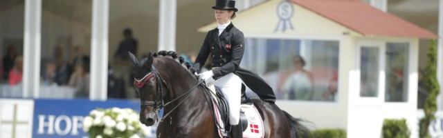 Hagen CDIO Nationenpreis Dressur 2015 Kirk Thinggaard Agnete DEN JoJo AZ Hagen - CDIO Nationenpreis Dressur 2015, Kirk Thinggaard, Agnete (DEN) - JoJo AZ Hagen CDIO Nations price Dressage 2015 Kirk Agnete the Jojo AZ 
