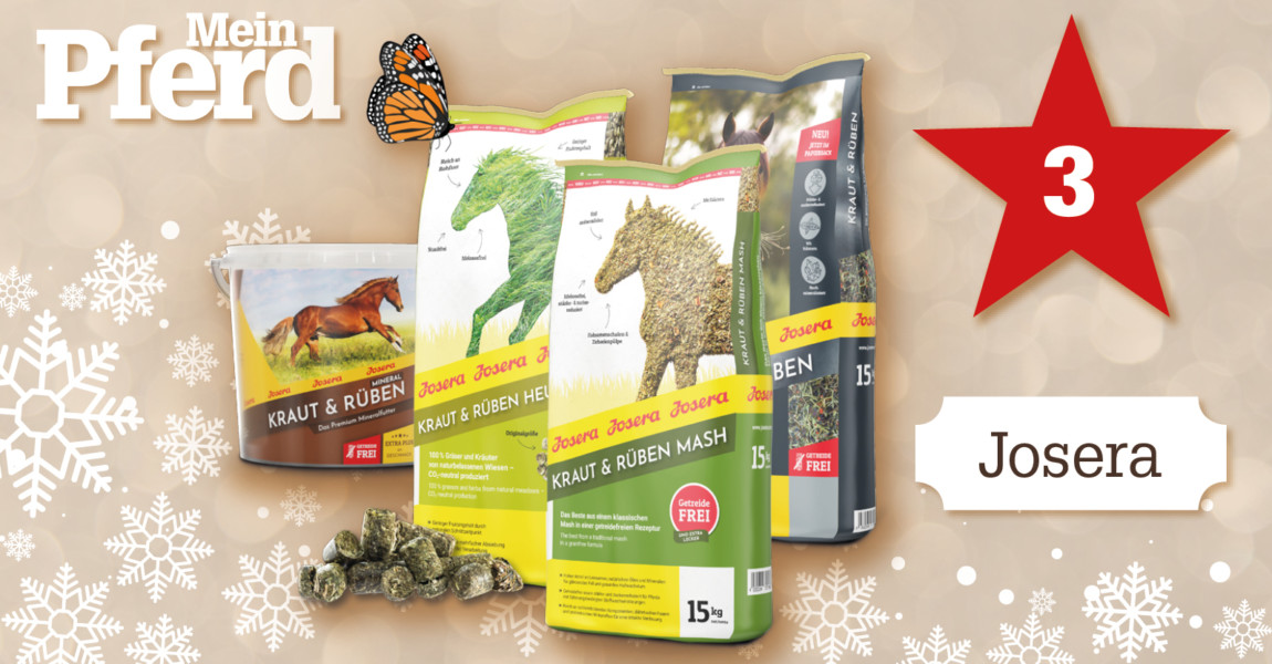 Online_Kalender03 