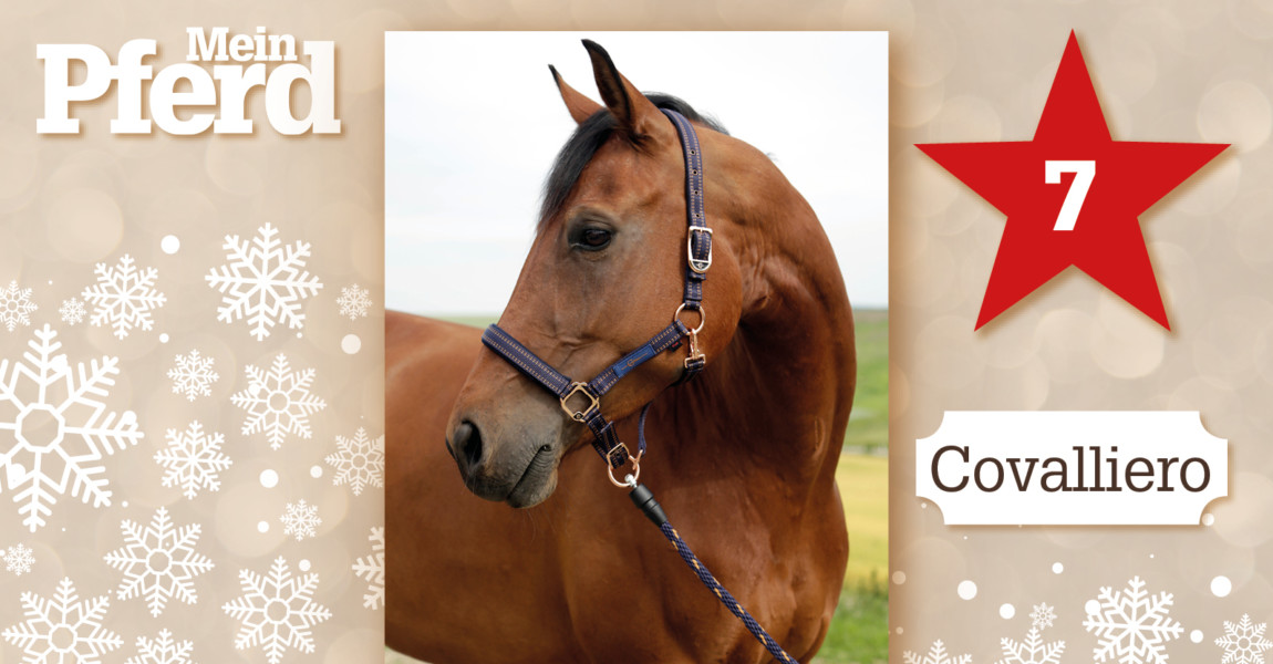 Online_Kalender07 