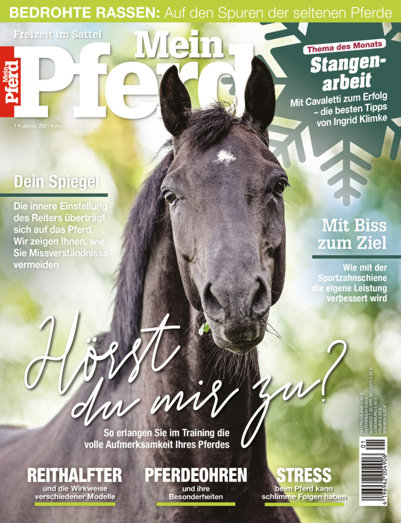 Hörst du mir zu? Mein Pferd Mein Freund