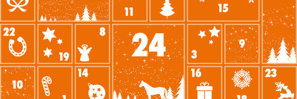EQ_Adventskalender_Newsletter_600x400px_D_201109 