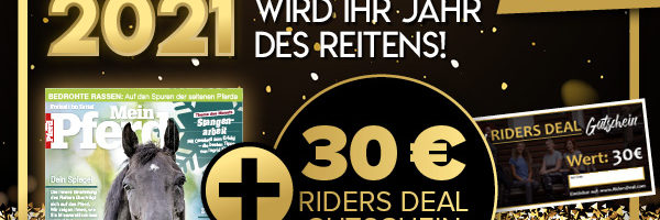 MPF_Neujahr_Newsletter_Header_600x300px 