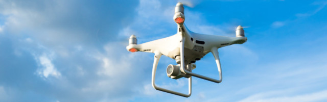 Flying drone above the wheat field Flying drone above the wheat field 