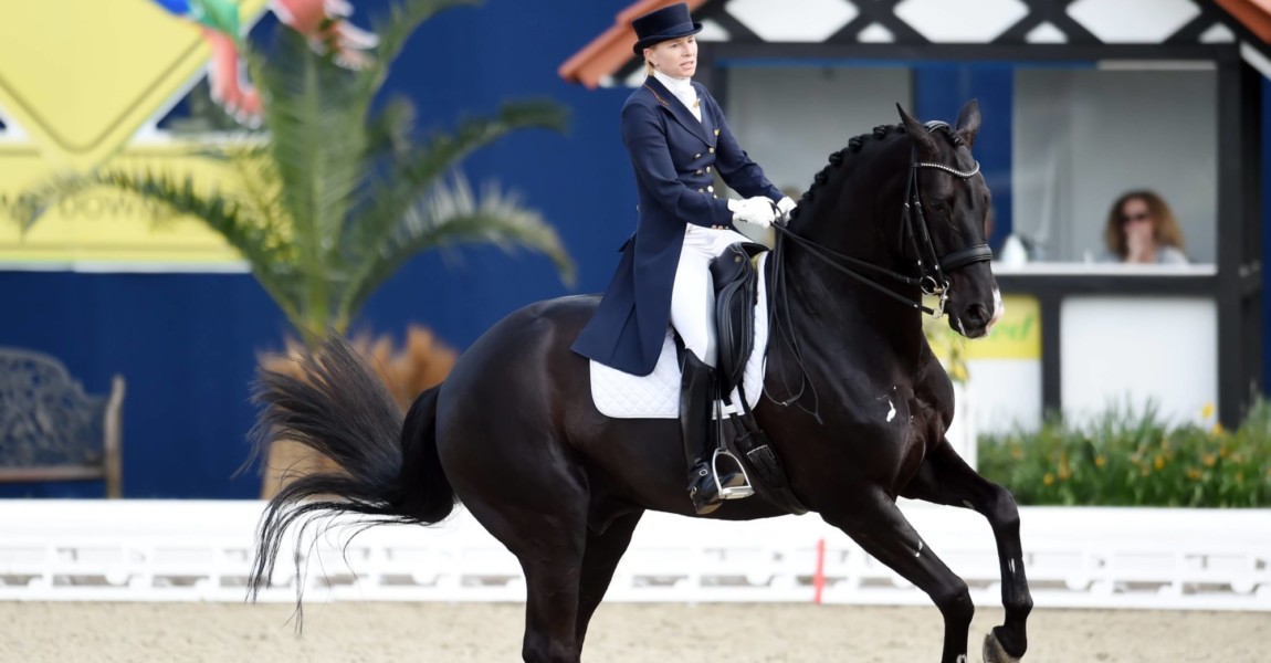 Hagen a T W Deutschland 24 April 2015 Horses and Dreams 2015 Nr 3 Int Dressurpruefung Gran Hagen a.T.W., Deutschland 24. April 2015: Horses and Dreams 2015 - Nr. 3 Int. Dressurpruefung - Grand Prix de Dressage - CDI4 - Qualifikation Grand Prix Special. Nadine Capellmann (Deutschland) und Dark Dynamic. mt Hagen A T w Germany 24 April 2015 Horses and Dreams 2015 No 3 Int Dressurpruefung Grand Prix de Dressage CDI4 Qualification Grand Prix Special Nadine Capellmann Germany and Dark Dynamic Mt 