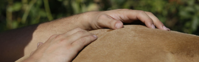 massagetechniken9099 