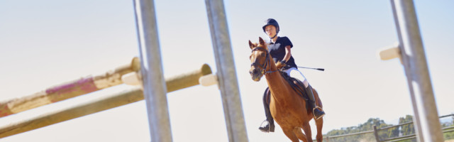 Girl with horse on show jumping course Horse Training 