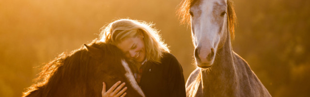 SLAWIK_dt_reitpony_welshb10184 