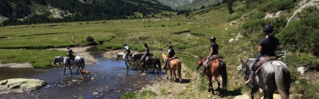 privat_IMG_6686 