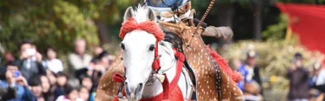 April 19 2015 Kamakura Japan Archers wearing traditional Japanese costume participate in an hor April 19, 2015, Kamakura, Japan - Archers wearing traditional Japanese costume participate in an horseback archery event aiming at a target from a galloping horse during the Yabusame Shinto ritual at Tsurugaoka Hachimangu Shrine in Kamakura on April 19, 2015. PUBLICATIONxINxGERxSUIxAUTxHUNxONLY (pueb015678) April 19 2015 Kamakura Japan archers Wearing Traditional Japanese costume participate in to Horseback Archery Event aiming AT a Target from a Gallo ping Horse during The Shinto Ritual AT Tsurugaoka Hachimangu Shrine in Kamakura ON April 19 2015 PUBLICATIONxINxGERxSUIxAUTxHUNxONLY pueb015678 