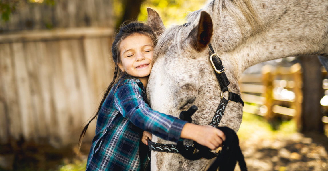 in a beautiful Autumn season of a young girl and horse A beautiful Autumn season of a young girl and horse 