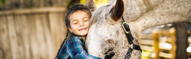 in a beautiful Autumn season of a young girl and horse A beautiful Autumn season of a young girl and horse 