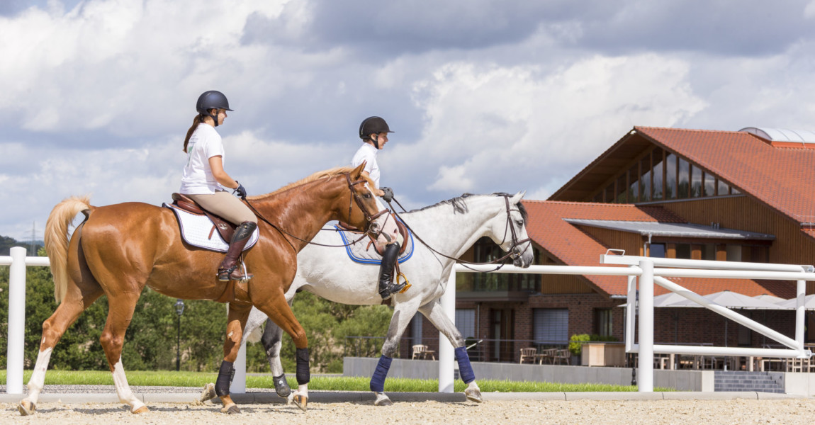 SLAWIK_reitplatz8154 