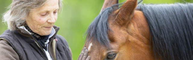 Tiergeschütztes Training 