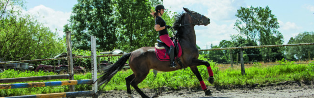 Pferdesport und Pferdepflege ILLUSTRATION - Ein Pferd mit Reiterin scheut am 13.06.2019 in Achim wegen eines Feldhasen (gestellte Szene). Foto: Christin Klose || Modellfreigabe vorhanden 