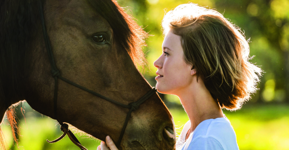 Profiles of young woman and horse at backlight model released Symbolfoto property released PUBLICATI Profiles of young woman and horse at backlight model released Symbolfoto property released PUBLICATIONxINxGERxSUIxAUTxHUNxONLY TCF05422 profiles of Young Woman and Horse AT back light Model released Symbolic image Property released PUBLICATIONxINxGERxSUIxAUTxHUNxONLY TCF05422 