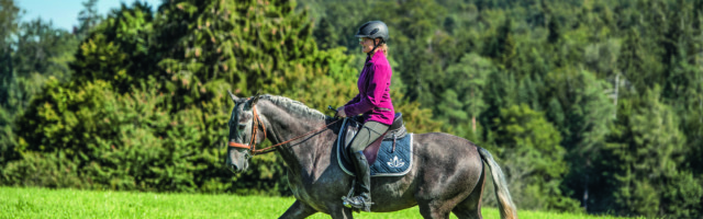 Trainingstherapie 
