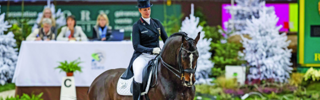 Genf CHI Rolex Grand Slam 2017 BRUNE Bernadette GER Spirit Of The Age OLD Genf CHI Rolex Grand Genf - CHI Rolex Grand Slam 2017 BRUNE Bernadette (GER) Spirit Of The Age OLD Genf - CHI Rolex Grand Slam 2017 Preis des Jiva Hill Stables *** Geneva CHI Rolex Grand Slam 2017 BRUNE Bernadette GER Spirit Of The Age OLD Geneva CHI Rolex Grand Slam 2017 Prize of the Jiva Hill Stables 