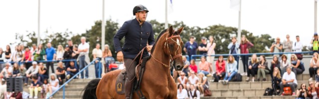 Working Equitation Mannheim 