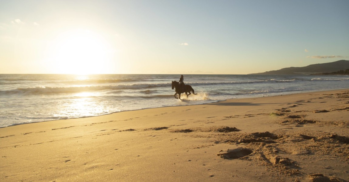 Spain Tarifa woman riding horse on the beach at sunset model released Symbolfoto property released Spain, Tarifa, woman riding horse on the beach at sunset model released Symbolfoto property released PUBLICATIONxINxGERxSUIxAUTxHUNxONLY KBF00388 