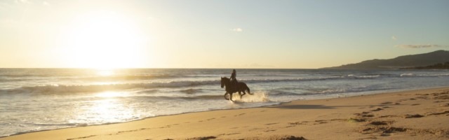 Spain Tarifa woman riding horse on the beach at sunset model released Symbolfoto property released Spain, Tarifa, woman riding horse on the beach at sunset model released Symbolfoto property released PUBLICATIONxINxGERxSUIxAUTxHUNxONLY KBF00388 