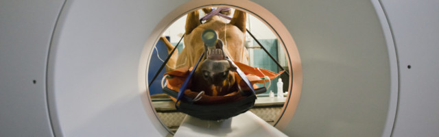 slawik_computertomograph65 