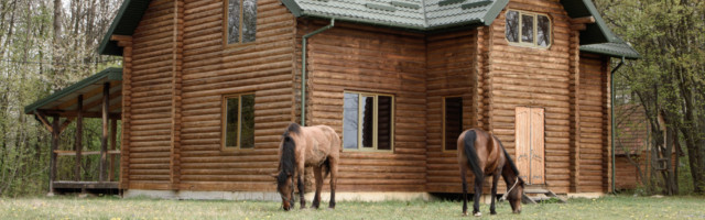 Horses,On,Wooden,House,Background,A,Small,,European-style,Wooden,House Horses on wooden house background 